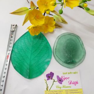 BỘ GÂN CÁNH LÀM HOA VÀ LÁ MAI lấy từ hoa thật