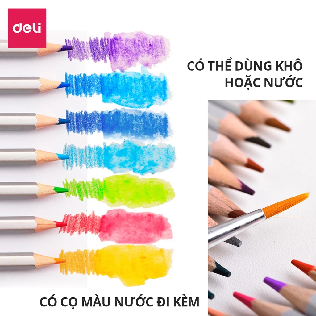 Bút Chì Màu Gốc Nước Chuyên Nghiệp Deli Kèm Cọ, Hộp Thiếc - 24/36/48 Màu Không Dễ Gãy Tô Màu Vẽ Tran