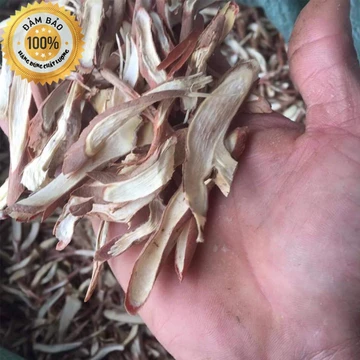 1kg sâm cau khô - sâm cau đỏ rừng tây bắc