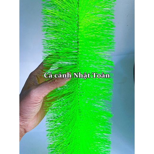 CHỔI LỌC MÀU DẠ QUANG VẬT LIỆU LỌC CHO HỒ CÁ KOI