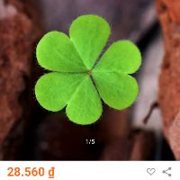 3b9hillf6t