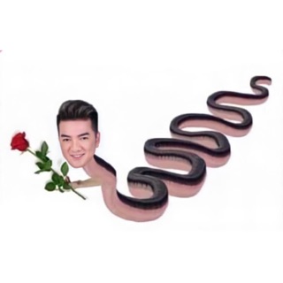 baychutuanloc