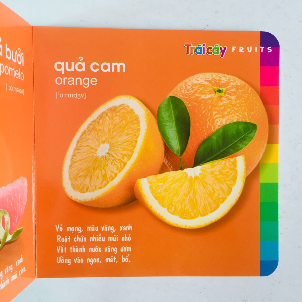Ảnh Sách – Bé Khám Phá Môi Trường Xung Quanh - Cuốn lẻ 4
