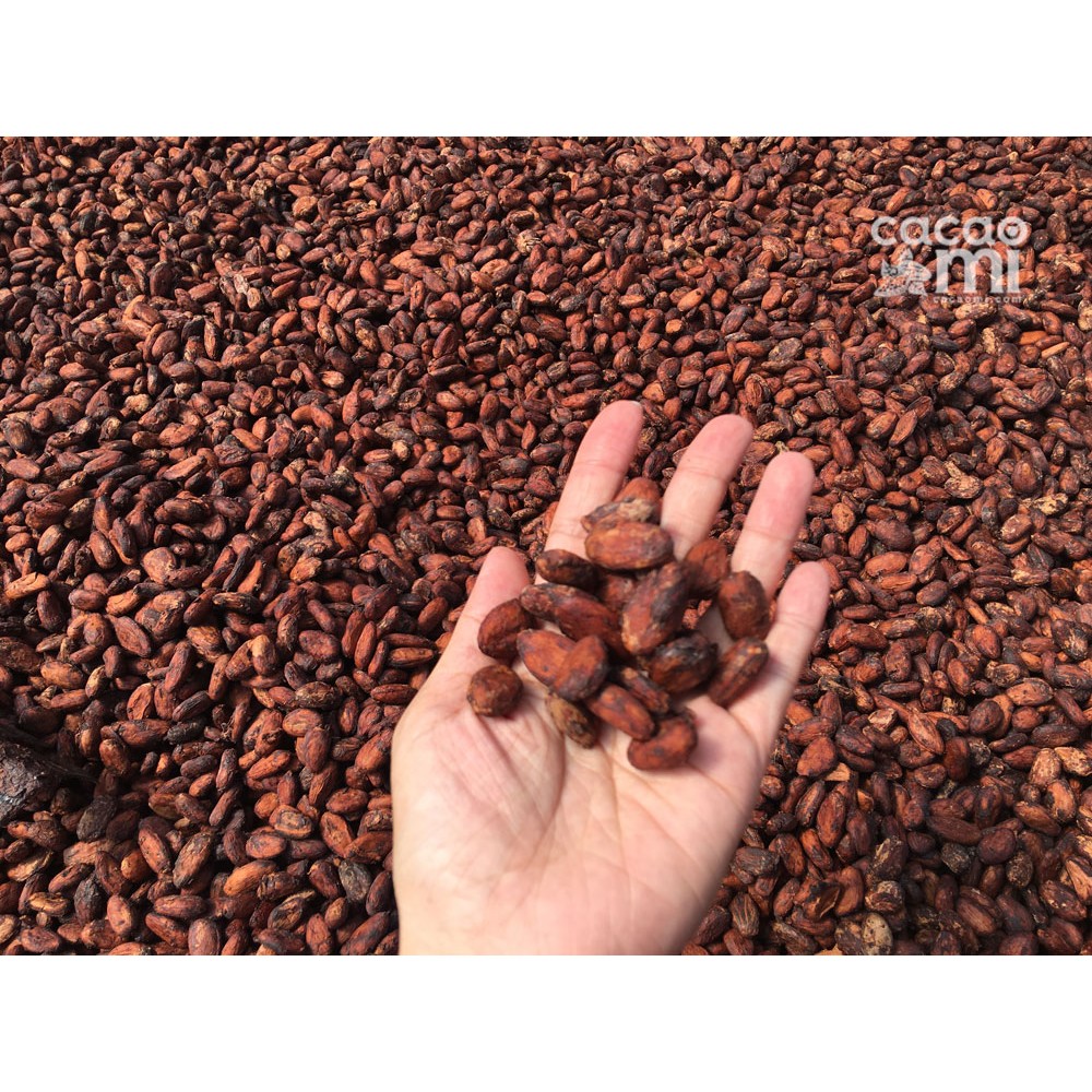 Ảnh Bột ca cao nguyên chất không đường CACAOMI Premium pha chế thức uống socola trà sữa đậm vị cacao 4