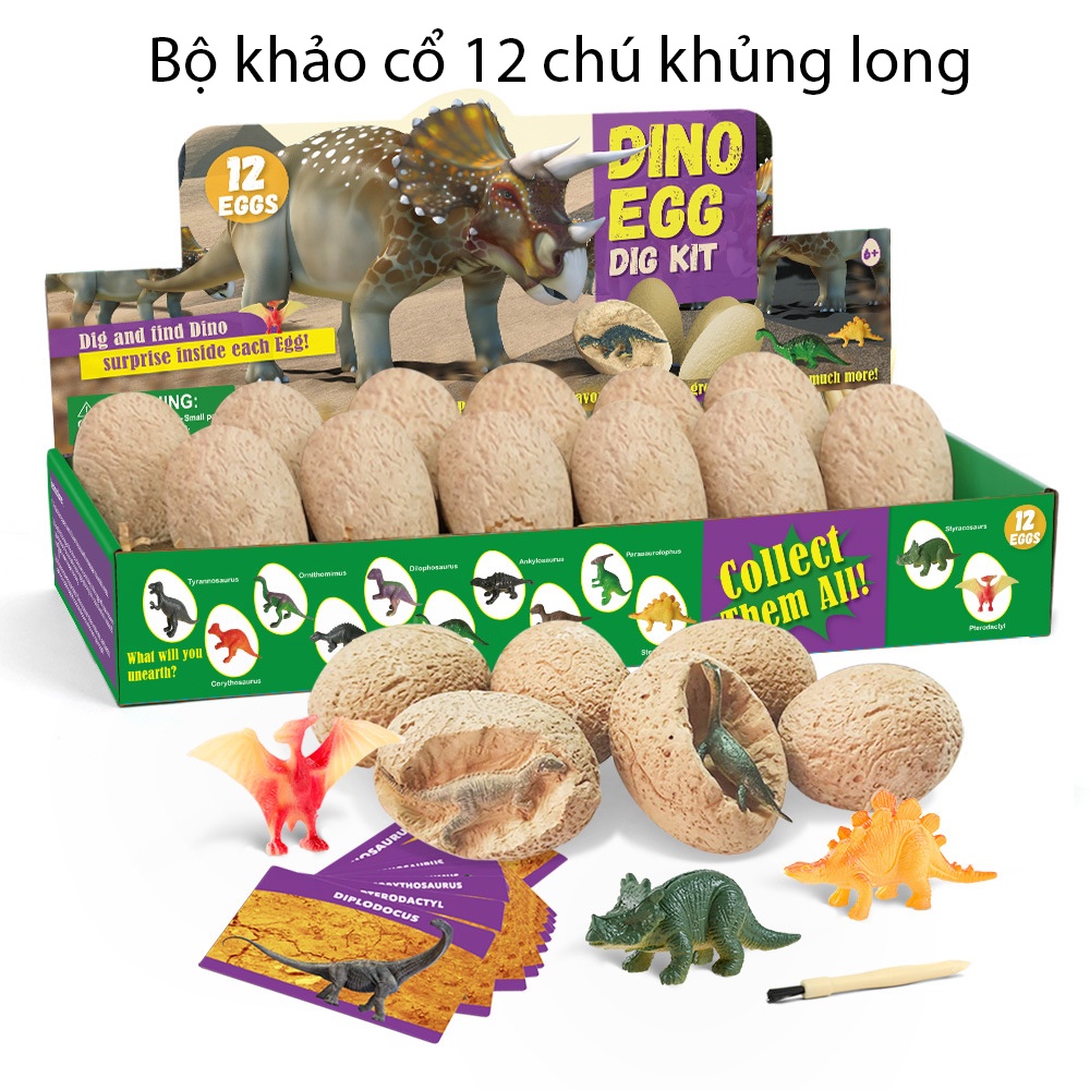Ảnh Đồ chơi khảo cổ học hóa thạch khủng long KAVY gồm 12 quả trứng 12 dụng cụ đào 1