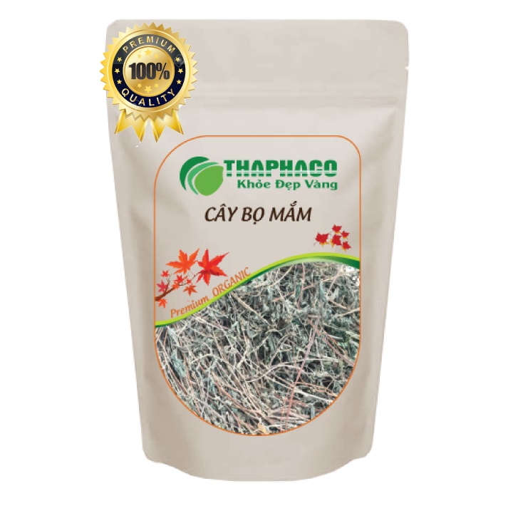[Thiên Nhiên] Bọ Mắn Sấy Khô Ngăn Ngừa Lao Phổi 100g Thaphaco