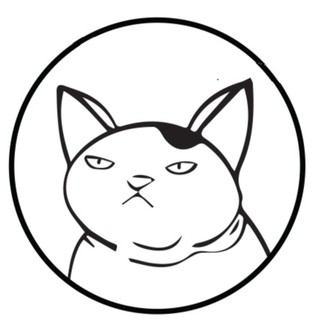 chubbykittens18