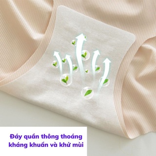 Quần lót đúc su co dãn thoáng mát và thoải mái King Shop L-8368