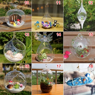Chậu hoa hình thủy tinh trong suốt / bể cá