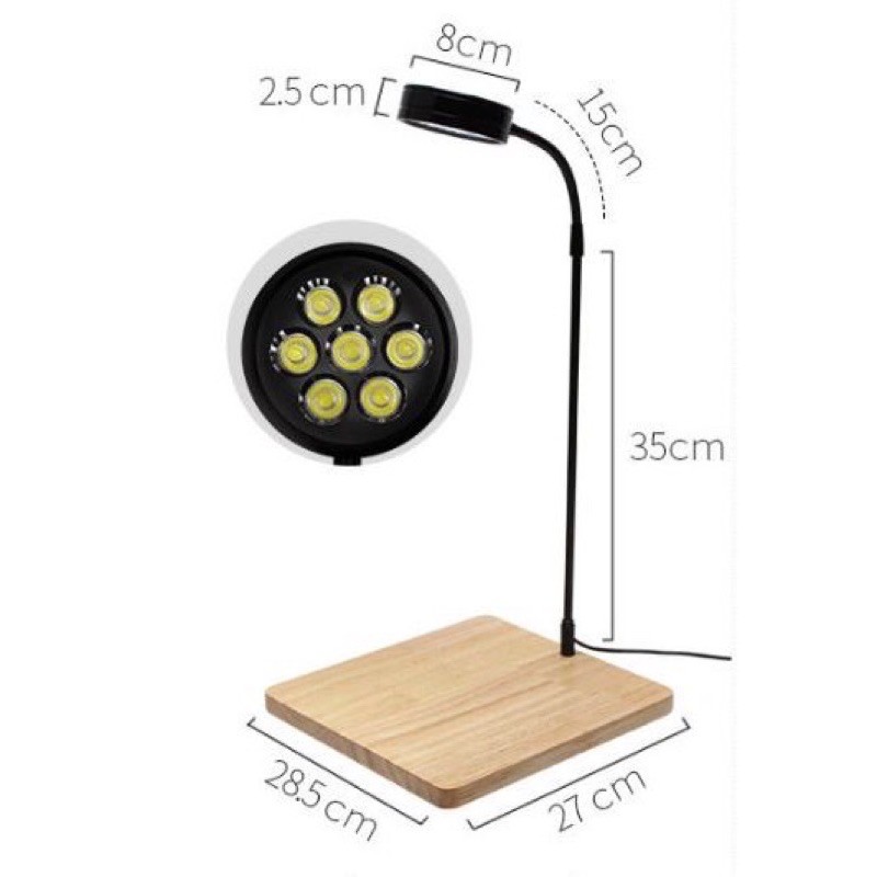 Đèn Led Thuỷ Sinh Đế Gỗ Cho Bể Cá, Terrarium - Ánh Sáng Trắng - Ánh Sáng  Vàng | Shopee Việt Nam