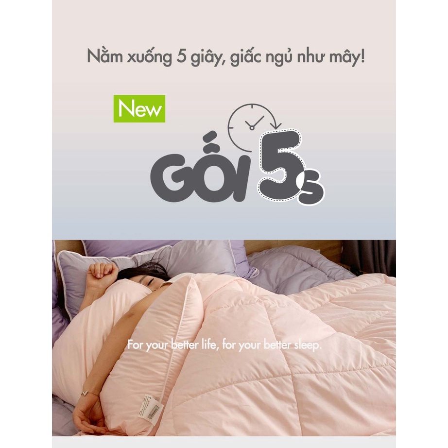Ảnh Ruột Gối Đầu 5S (màu ngẫu nhiên) (Thấp-Mềm) 3