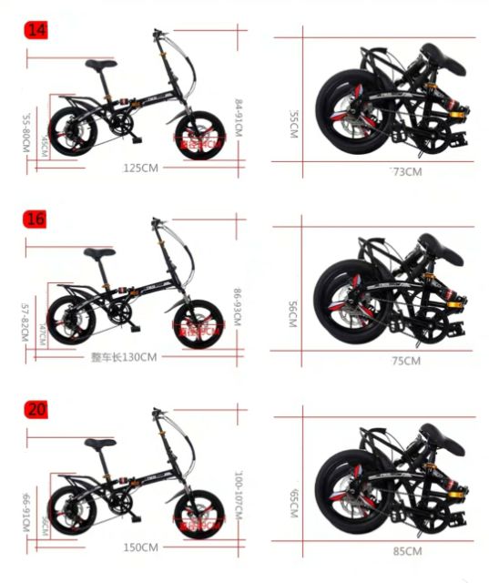 XE ĐẠP GẤP  GỌN  Phoenix Chính Hãng - NAM NỮ  Bánh 20 inh Full phụ kiện