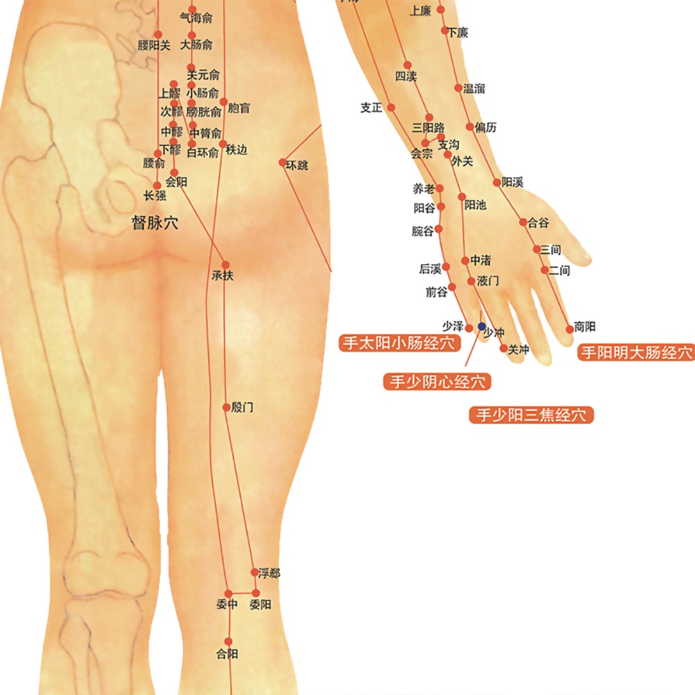 Ảnh Sơ đồ Cofoe mô tả kinh tuyến và huyệt đạo cơ thể con người 3