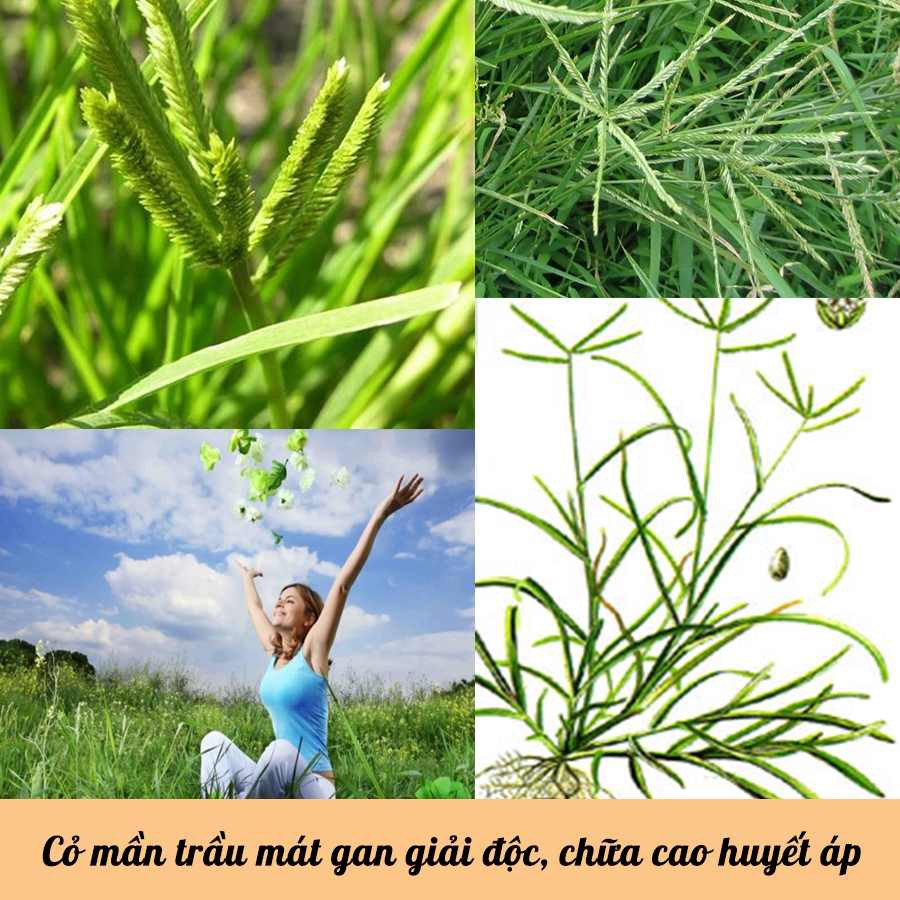 Cỏ mần trầu khô JINDO 1kg