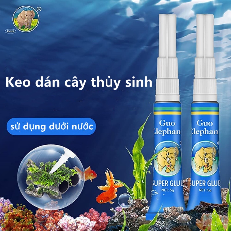 AQUARZOO 5g Instant Aquarium Moss Glue Fish Tank Landscape Safe & Super