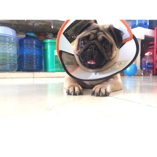 duyen040694