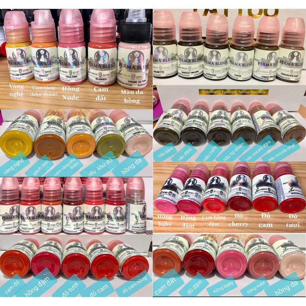 MỰC PERMA BLEND HỮU CƠ MỸ - mực perma full bảng màu dcpxhoanganh