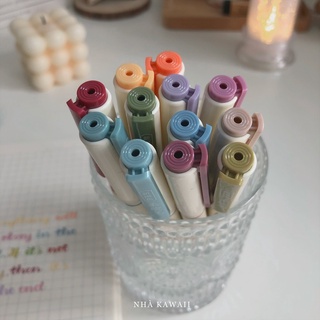 Bút viết calligraphy DS Soft Brush Sign Pen (mẫu mới)