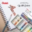 Màu Nước PENTEL tuýp 5ml set 1218/24 Màu