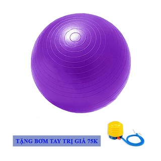 Bóng Tập Yoga Da Trơn Đường Kính 65cm,75cm Đại Nam Sport + Tặng Kèm Bơm Mini