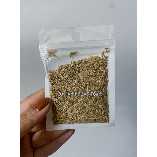 HẠT GIỐNG THỦY SINH SỐ 3 NGƯU MAO CHIÊN CAO 10g