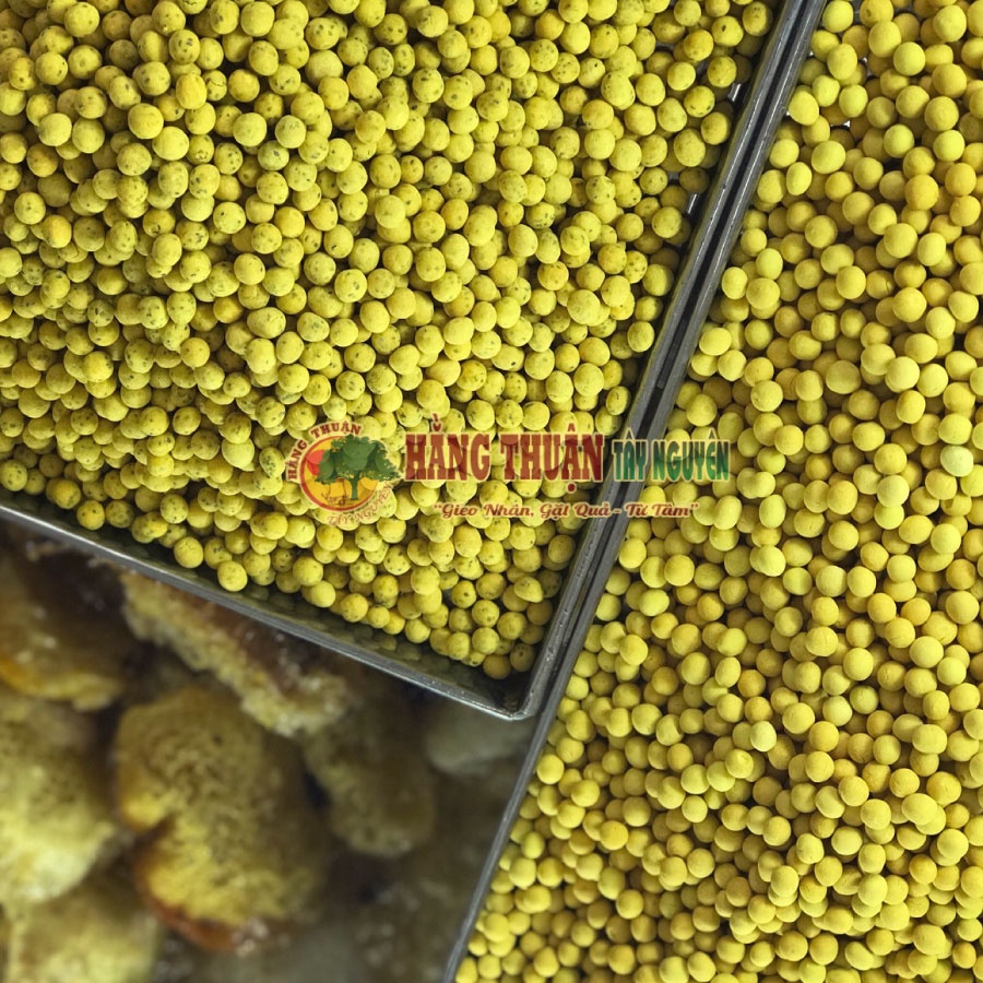 Viên Tinh Nghệ Mật Ong Hạt Chia Hằng Thuận Tây Nguyên