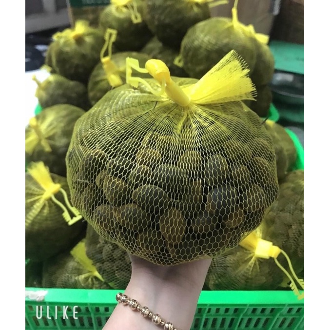 Say rừng Gia Lai | Shopee Việt Nam