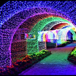 DÂY ĐÈN LED KIM CƯƠNG DÀI 50M NHÁY NHIỀU MÀU CHỐNG NƯỚC