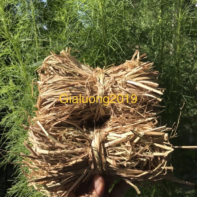 Combo 5 Bó rơm khô mini (trang trí và lót hộp quà, mâm ngũ quả) mua ...