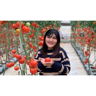 ngoc.honguyen