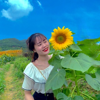 vu_loan2001