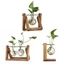 Bình hoa thủy canh YUUKII Trang trí nội thất Terrarium Để bàn Chậu hoa