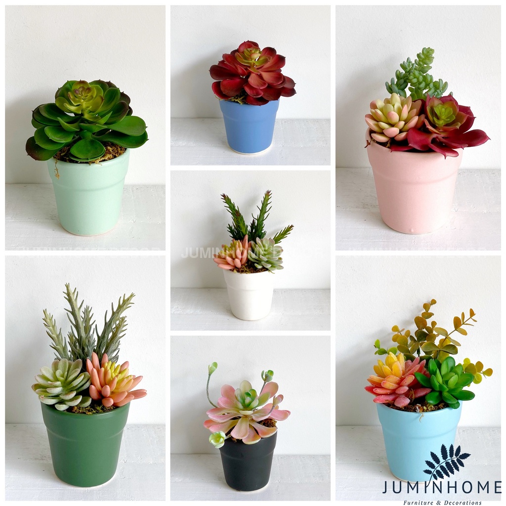 Cây giả Decor - Chậu cây mini Decor Trang trí để bàn | Shopee Việt Nam