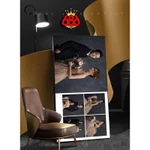 Ảnh Mica Pha lê Khung hợp Kim 70x110cm 76x120cm SIÊU VIP 2022  Ảnh Treo Tường Phong Cách Bắc Âu Hiện Đại Tối Giản — ảnh 3