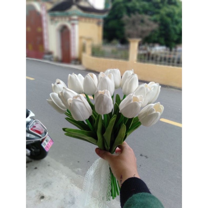bó hoa tuy líp
