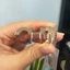 Mặt Khóa Thắt Lưng GOAT W215