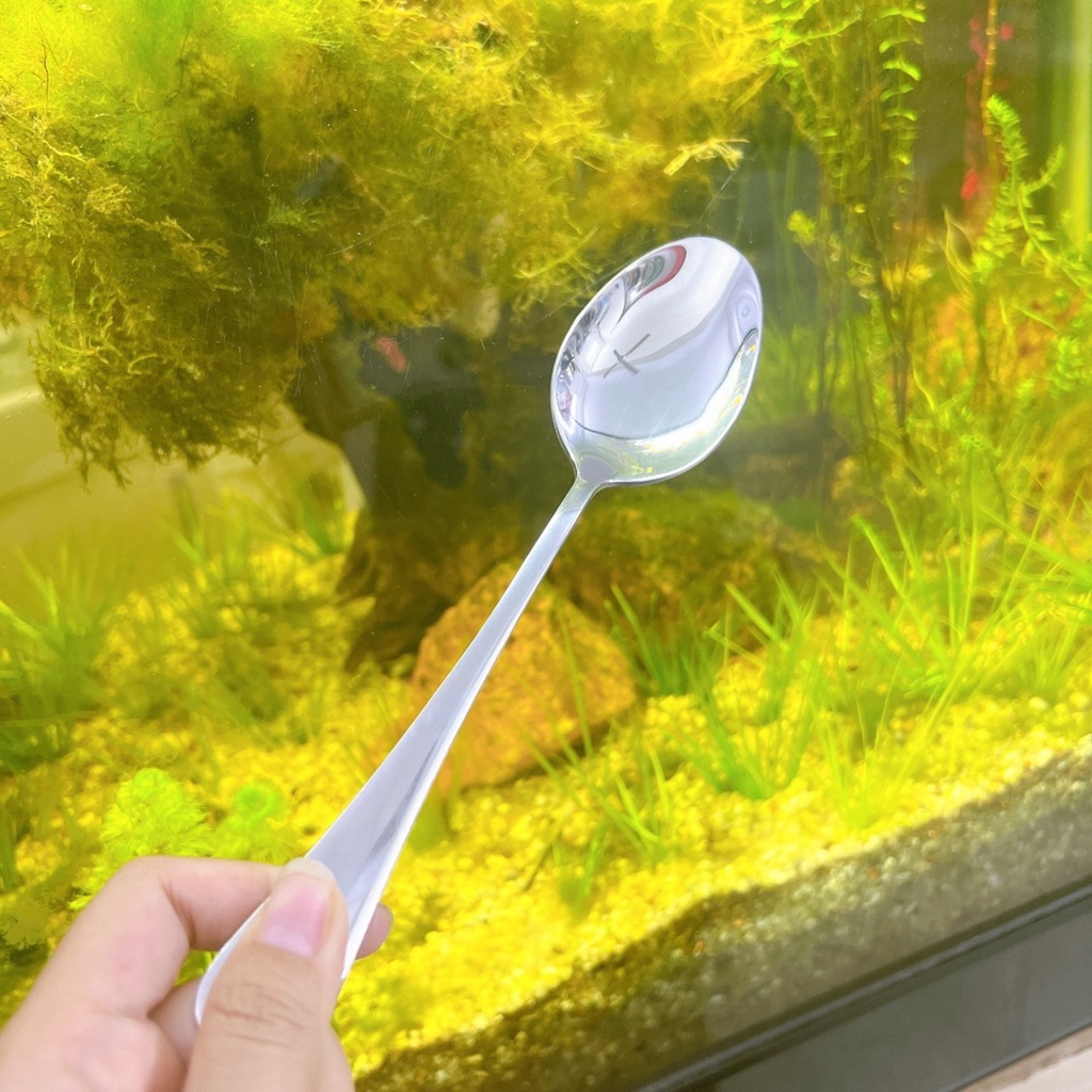 Bộ Dao nĩa muỗng ăn bít tết,thiết kế sang trọng sáng bóng Inox CAO CẤP