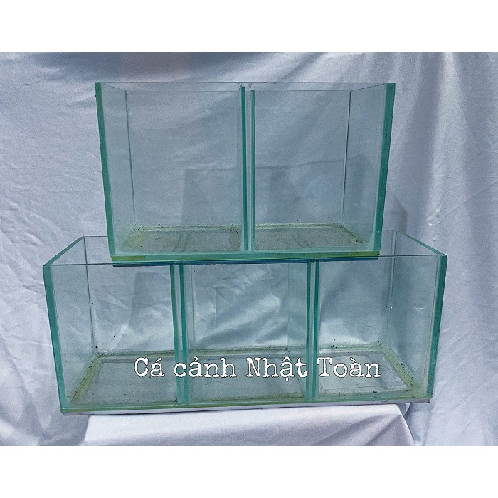 HỒ KÍNH NUÔI CÁ BETTA 1 ĐỀN 3 NGĂN KÍNH DÀY 3MM