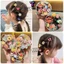 BÁN SỈ Hộp 30 chun buộc tóc nhiều hình đáng yêu cho bé