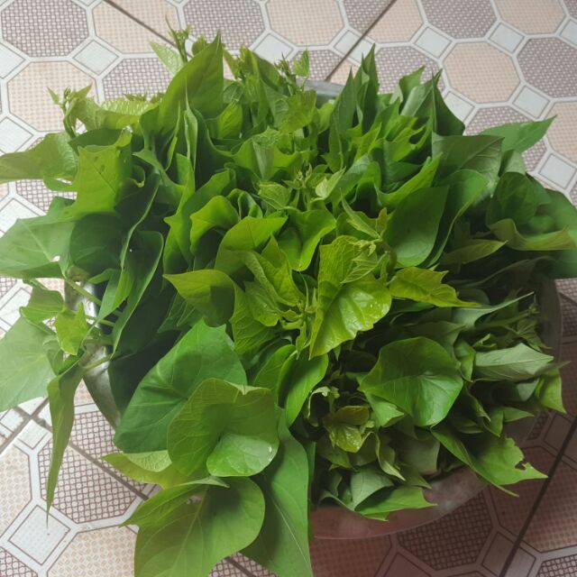 Rau lang trắng (500g) | Shopee Việt Nam