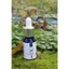 Tinh Dầu Quế NEOP 10mL - Cinnamon Essential Oil