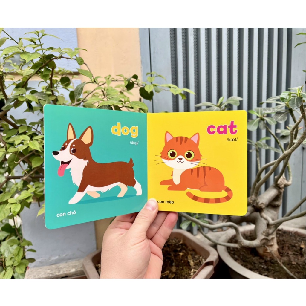 Ảnh Bộ sách bìa cứng Thư viện hình ảnh đầu tiên cho bé về thế giới xung quanh - Baby's First Picture Book (8 Cuốn) 2