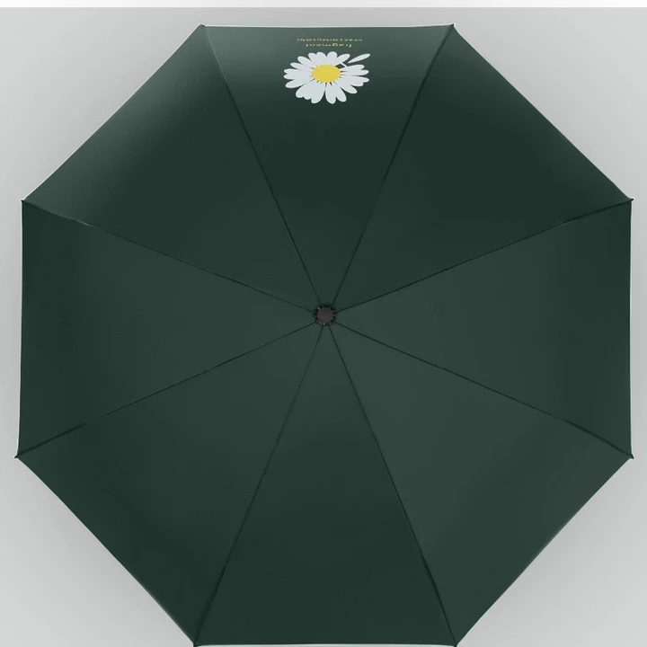 Foldable Fashion accessories – 5