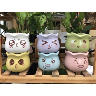 chậu dễ thương mặt cảm xúc