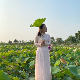 thudungnguyen
