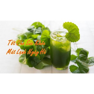 [SALE Giá Tốt] Bột Rau Má 100% Nguyên Chất Sấy Lạnh Thiện Phát, Thanh Nhiệt, Giải Độc Cơ Thể