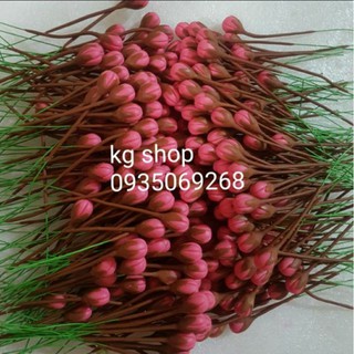 Nụ, lá đào