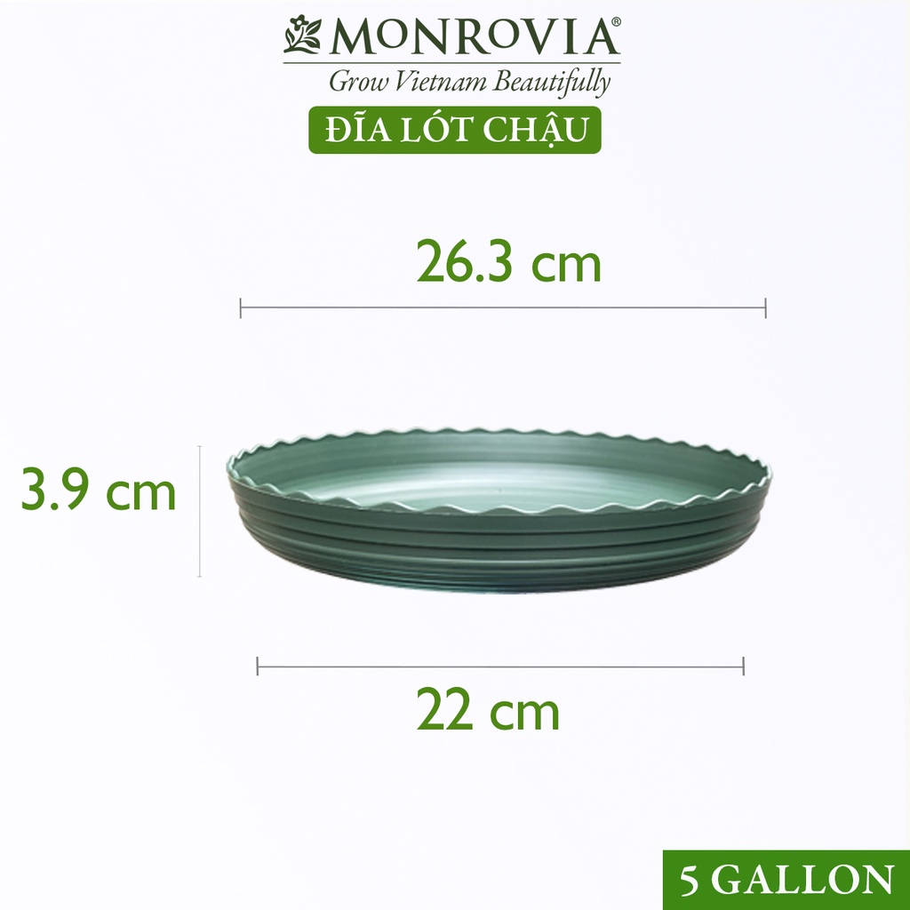 Đĩa lót chậu nhựa trồng cây MONROVIA để bàn, treo ban công, treo tường, thiết kế tinh tế, tiêu chuẩn Châu Âu