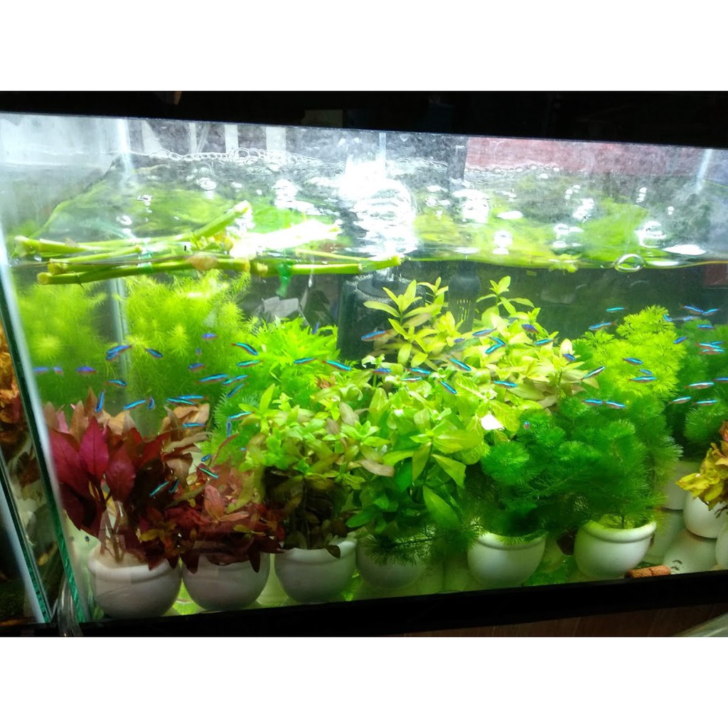 Bộ Tưới Cây nhỏ giọt có van điều chỉnh-132