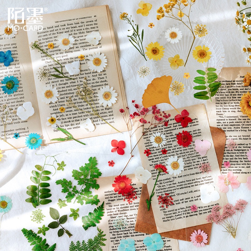 Sticker hoa khô làm từ hoa thật vintage dán sổ retro mẫu hoa lá HD113-K61 DIY Crafts, Scrapbook, Journal, Thủ công